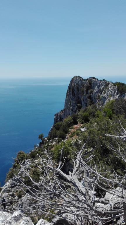 Villa Naramanue Dorgali Esterno foto