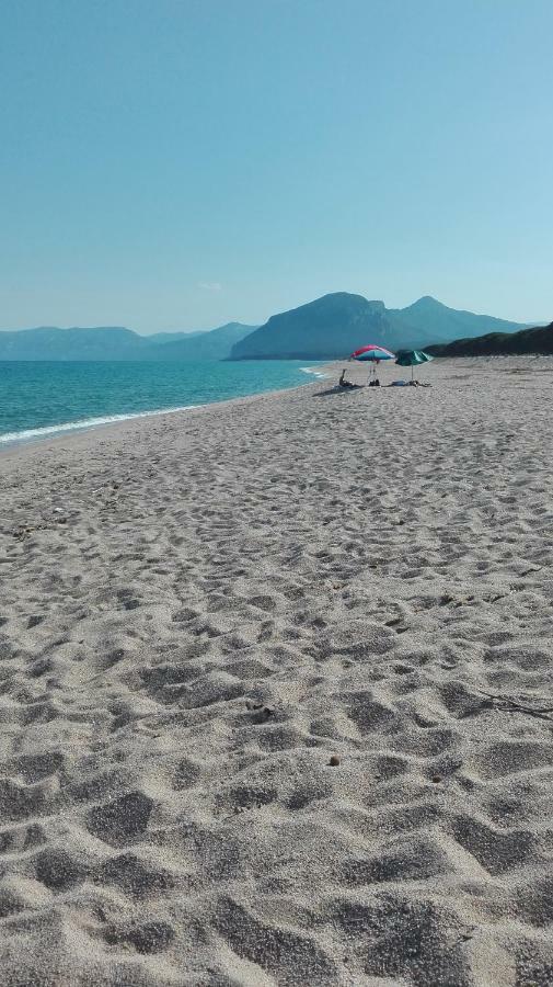 Villa Naramanue Dorgali Esterno foto